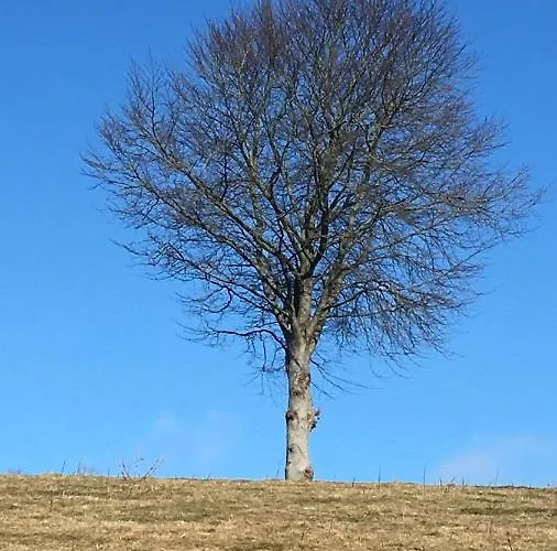 Am Anker * Langballig